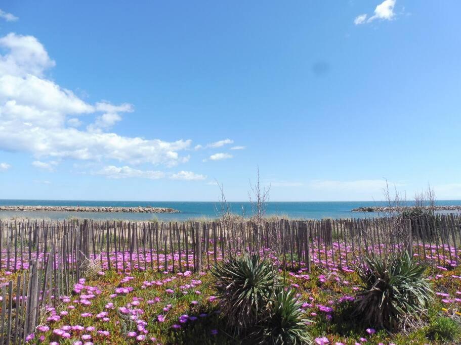 Le Petit Coin De Paradis. Valras-Plage Dış mekan fotoğraf