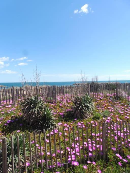 Le Petit Coin De Paradis. Valras-Plage Dış mekan fotoğraf